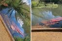 Barriers have been dumped in Miller's Pond in Southampton by mindless vandals
