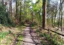 Try a three wood walk in Fair Oak this weekend