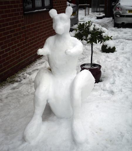 Snowkaroo from Louise Downie