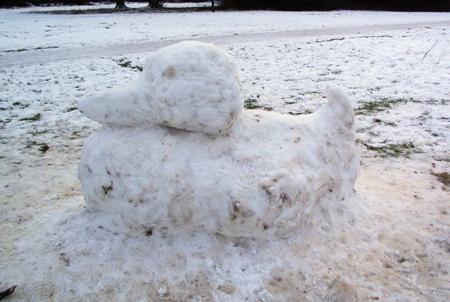 A snow duck on Southampton Common