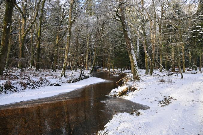 a snowy brook on the road to rhinefield house.
                        alex haimes
