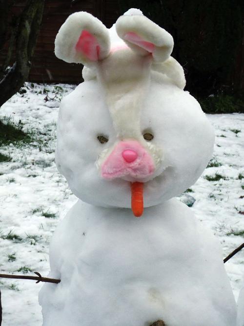 Created by Mollie Power 11 and Eleanor Power 9 snow bunny
