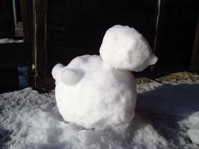   Here is the snow duck built by Peter sent by jacqueline negus