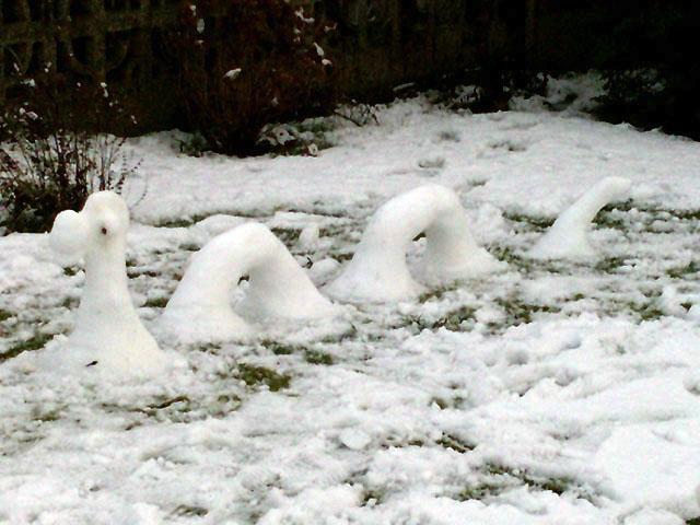 Snowman Nessy by Daniel Cornes aged 5 with a little help from Dad Steve aged 41!