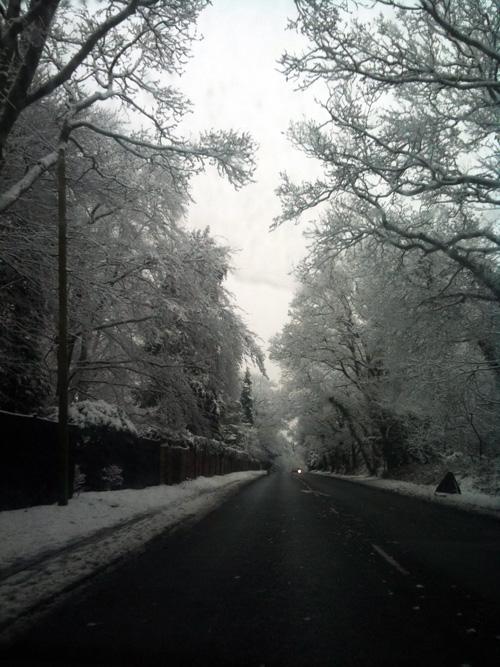 Winchester Road snow scene by Kelly Mauger.
