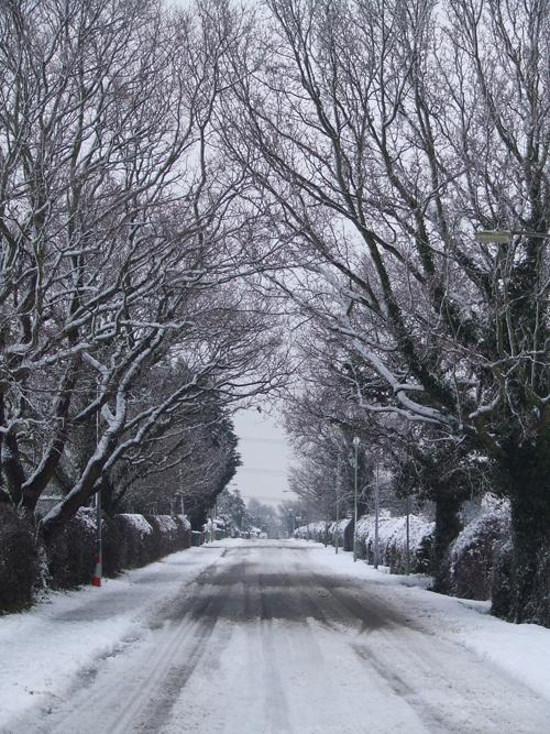 Hunts Pond Road, Titchfield Common by Laura Davies.