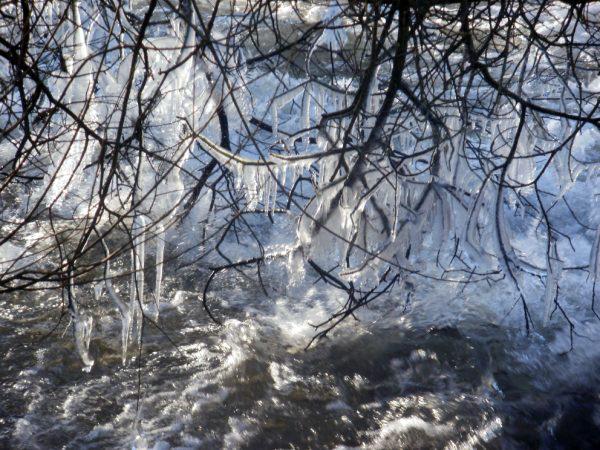 Nursling Mill, Lee Lane, icicles formed on trees over the river test!
 
Samantha Evans, Hythe