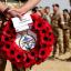 Afghan death toll now exceeds that of Falklands conflict