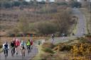 £2m cycling plans for Forest revealed