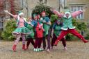 The Marwell elves
