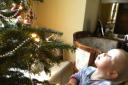Andrew McCall gazes in wonder at the family tree on Christmas Eve – just a few hours before he died from swine flu.