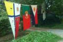 Thieves steal 1960s flags from garden near Winchester