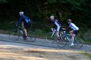 Cyclists in the New Forest