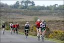 Wiggle cyclists in the New Forest at the weekend.