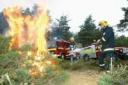 FIGHTING ARSON: Firefighters tackle a blaze in the New Forest inclosure.