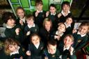 Wellow Primary School