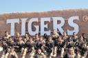 Give our Tigers a hero’s welcome