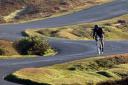 Andy Bissell cycling in the New Forest