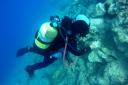 Southampton expert divers make major discovery at underwater Roman site
