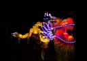 Promotional images for this years Lantern Parade event