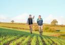 Bartholomews agronomists Richard Harris (left) and Tansel Zeadin (right) checking on crops