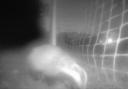 The badger which damaged Warsash's pitch was captured on CCTV