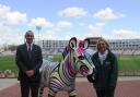 ‘Zany Zebras’ visit Ageas Bowl