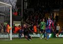 Crystal Palace 1-0 Southampton - in pictures