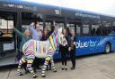 Zany Zebras get their ticket to ride from top bus firm