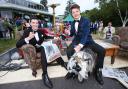 PHOTOS: Applemore College pupils arrive at their prom in style (featuring a goat)