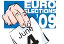 Parties ‘don’t represent our Euro views’ – voters