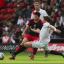 Images form the South Coast Derby game, Saints v Cherries Images form the South Coast Derby game, Saints v Cherries
