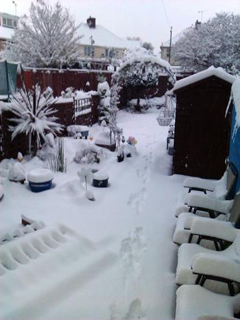 Snow pics from Alex Murphy-Hume in Hamble, Southampton.