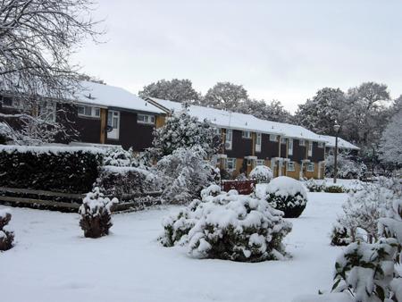 Snow pictures from Calmore. By Echo reader Jean Read.