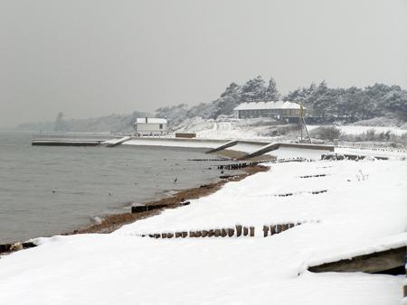 Lepe Country Park in the Snow from Echo reader Sarah Duncalfe.