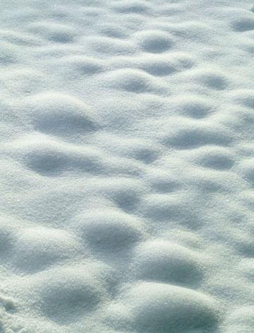 Snow by Echo reader LESLIE PRESTON.