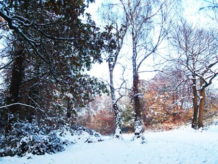 3rd December snow. From Echo reader Kerryann Chant of Lordswood.