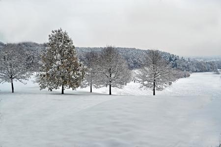 Snow scene across The Rosebowl Golf Course from Echo reader Donna Collett.