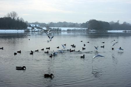 Testwood Lakes by Echo reader Timothy Pearce.