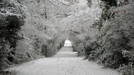Snow picture of Chapel Lane, Curdridge. By Echo reader Dunc.