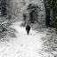 Snow pics from Manor Farm Country Park. By Echo readers Nat & Jay from Botley. Snow pics from Manor Farm Country Park. By Echo readers Nat & Jay from Botley.