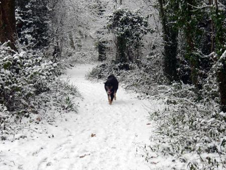 Snow pics from Manor Farm Country Park. By Echo readers Nat & Jay from Botley.