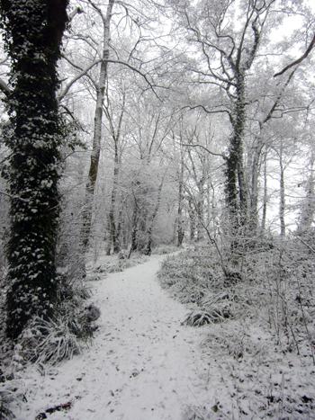 Snow pics from Manor Farm Country Park. By Echo readers Nat & Jay from Botley.