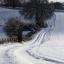 Damerham, just outside Fordingbridge.
By Nicola Ball Damerham, just outside Fordingbridge.
By Nicola Ball