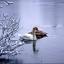 Lakeside, Eastleigh
By Martin Jewell Lakeside, Eastleigh
By Martin Jewell