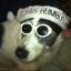 Cassie thinking she is very cool! sent in by
Nicky Holloway Cassie thinking she is very cool! sent in by
Nicky Holloway