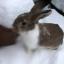 Delilah sent in by Lucy Seal Delilah sent in by Lucy Seal