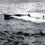 Motorboats competing in the Olympics near Southampton