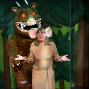 The Gruffalo, The Witch and the Warthog, Pictures: Steve Ullathorne