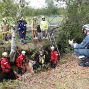 Firefighters prepare to lift Hector out of the ditch. Picture: Hampshire and Isle of Wight Fire and Rescue Service.
